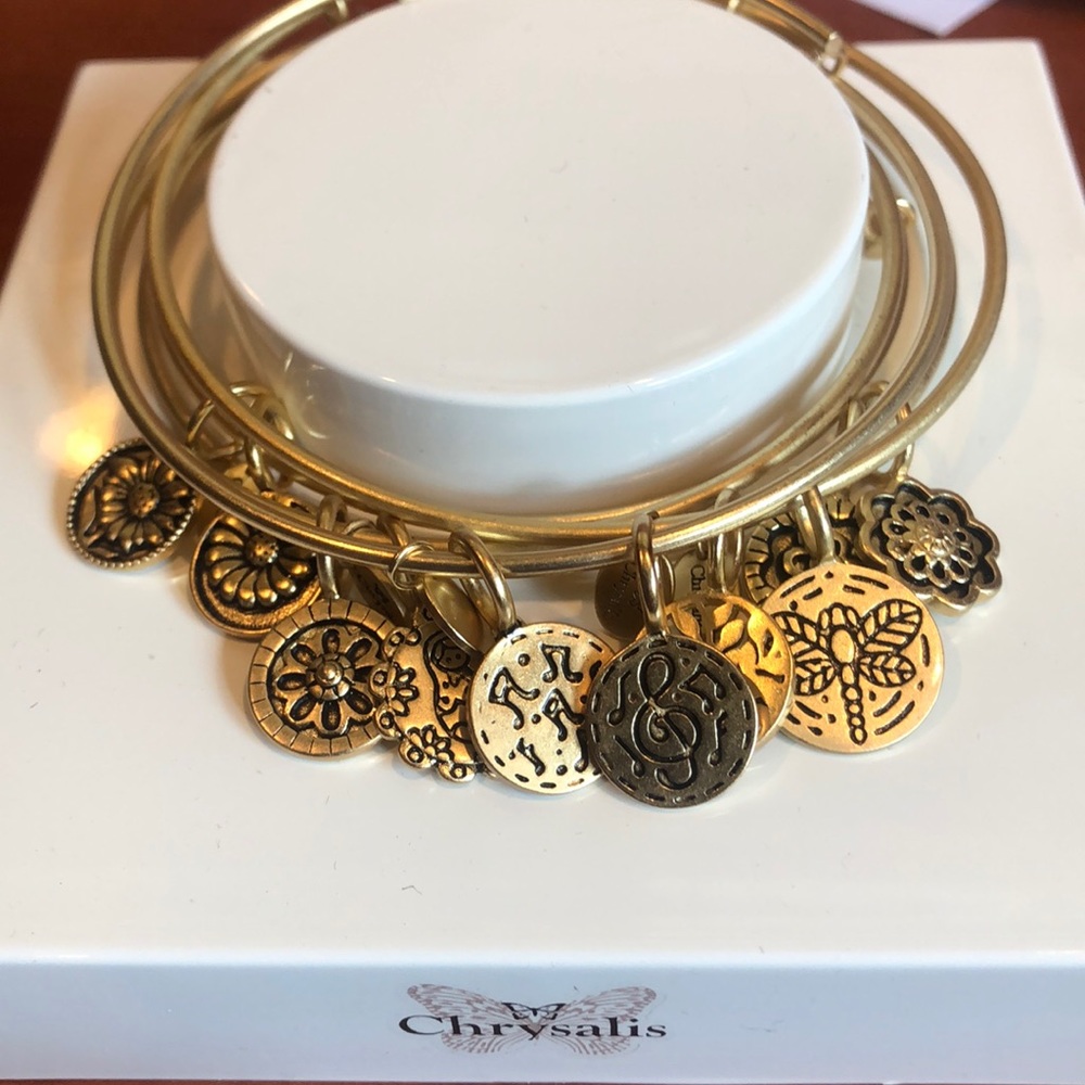 LIKE ALEX & ANI - SPIRITUAL BANGLES by CHRYSALIS